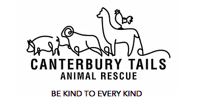 Canterbury Tails logo