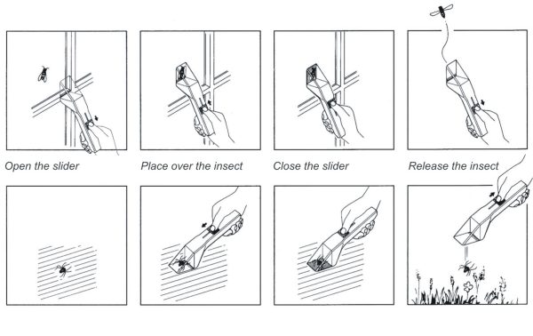 Instructions how to use Snapy Insect catcher