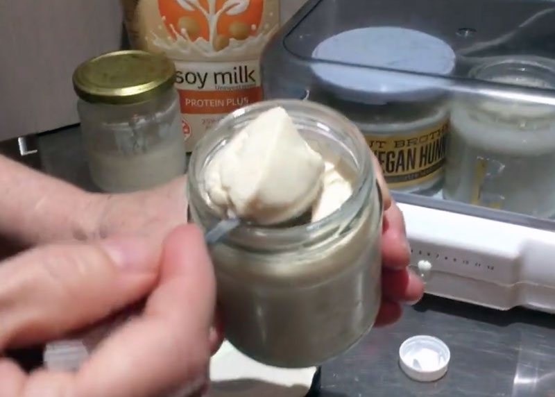 A spoonful of freshly made vegan yoghurt