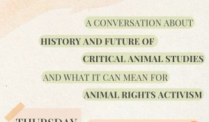 Animal Studies and Animal Advocacy Q&A with Nik Taylor